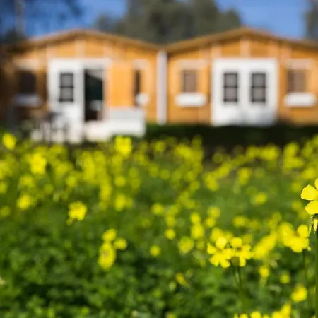 Secluded In An Organic Farm, 1bd With Ac, Pet Friendly *