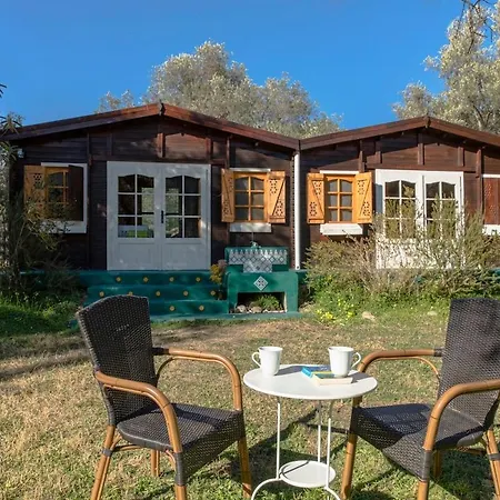Secluded In An Organic Farm, 1bd With Ac, Pet Friendly *