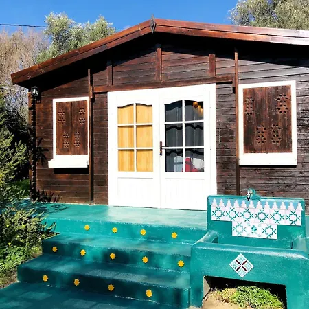 Secluded In An Organic Farm, 1bd With Ac, Pet Friendly Chalet Orgiva