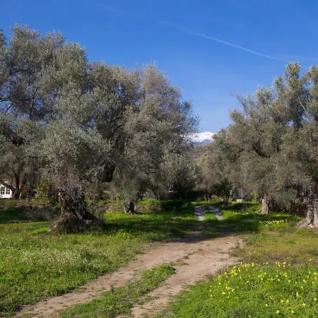 Secluded In An Organic Farm, 1bd With Ac, Pet Friendly Orgiva