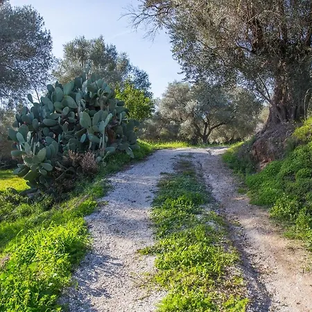 Secluded In An Organic Farm, 1bd With Ac, Pet Friendly Chalet *