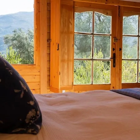Secluded In An Organic Farm, 1bd With Ac, Pet Friendly