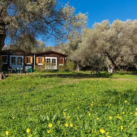 Secluded In An Organic Farm, 1bd With Ac, Pet Friendly Chalet Orgiva