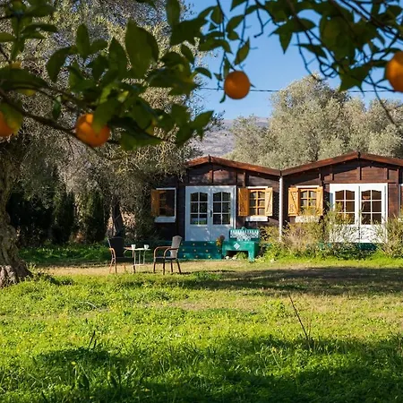 Chalet Secluded In An Organic Farm, 1bd With Ac, Pet Friendly Orgiva